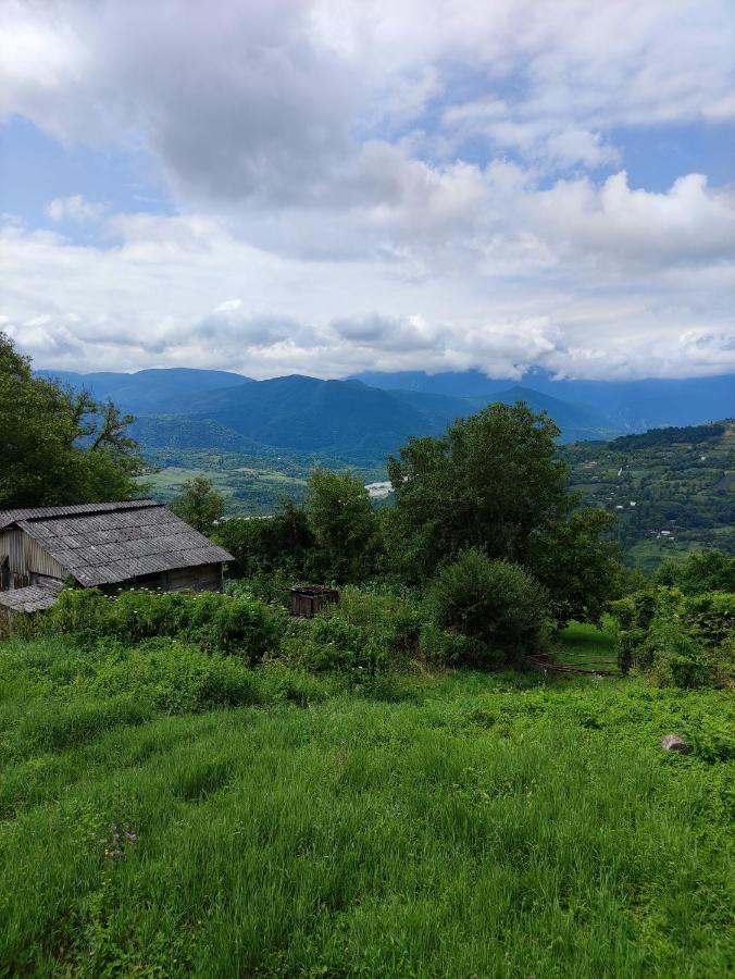 Racha Chogovadze'S Guest House Ambrolauri Εξωτερικό φωτογραφία