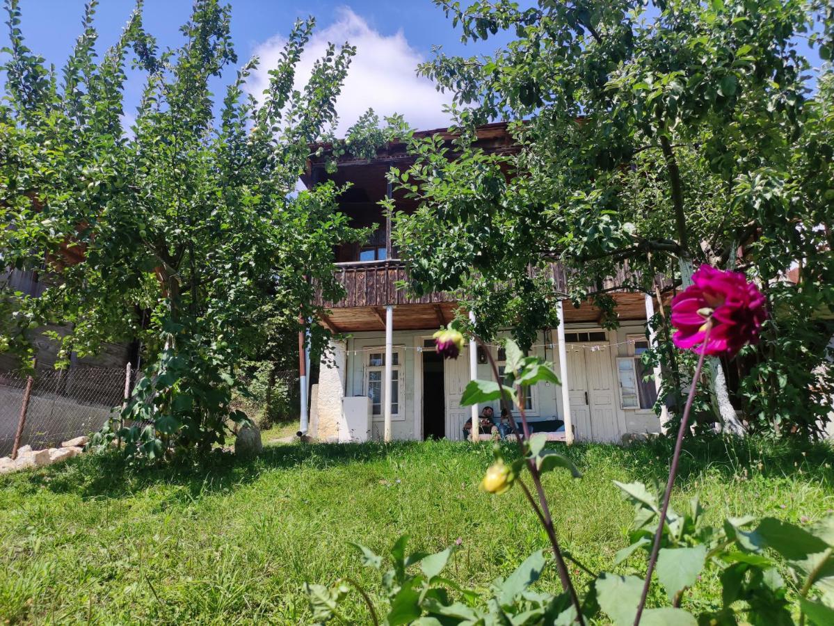 Racha Chogovadze'S Guest House Ambrolauri Εξωτερικό φωτογραφία